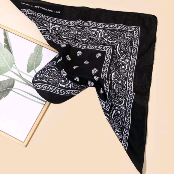 Paisley Print Head Wrap With Brim - Picture 4 of 4